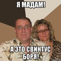 я мадам! а это свинтус боря!