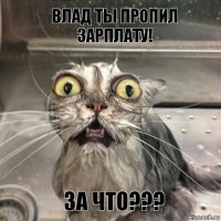 Влад ты пропил зарплату! За что???