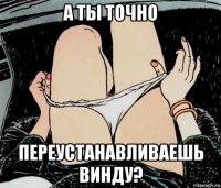 а ты точно переустанавливаешь винду?