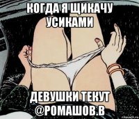 когда я щикачу усиками девушки текут @ромашов.в