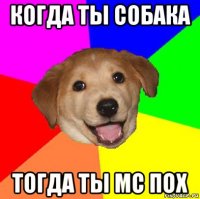 когда ты собака тогда ты мс пох