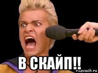  в скайп!!