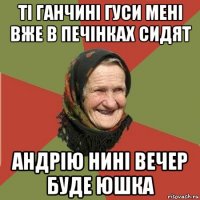 ті ганчині гуси мені вже в печінках сидят андрію нині вечер буде юшка