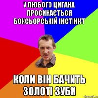 у любого цигана просинається боксьорській інстінкт коли він бачить золоті зуби