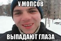 у мопсов выпадают глаза