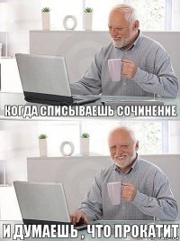 Когда списываешь сочинение И думаешь , что прокатит