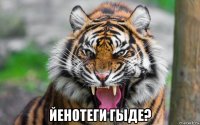  йенотеги гыде?