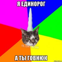 я единорог а ты говнюк