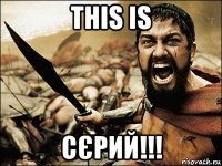 this is сєрий!!!