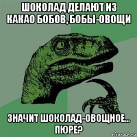 шоколад делают из какао бобов, бобы-овощи значит шоколад-овощное... пюре?