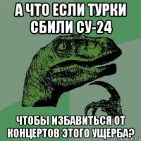 а что если турки сбили су-24 чтобы избавиться от концертов этого ущерба?