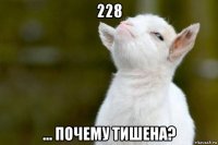 228 ... почему тишена?