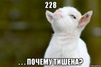 228 . . . почему тишена?