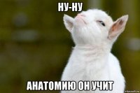 ну-ну анатомию он учит