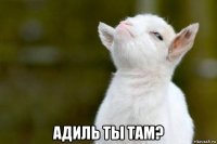  адиль ты там?