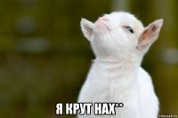  я крут нах**