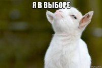 я в выборе 