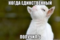 когда единственный получил 5