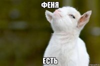 феня есть