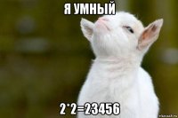 я умный 2*2=23456