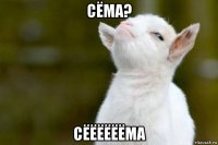 сёма? сёёёёёёма