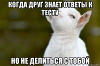 когда друг знает ответы к тесту но не делиться с тобой