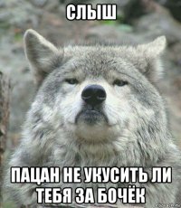 слыш пацан не укусить ли тебя за бочёк