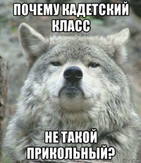 почему кадетский класс не такой прикольный?