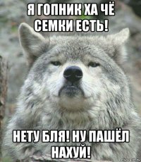 я гопник ха чё семки есть! нету бля! ну пашёл нахуй!