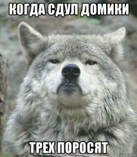 когда сдул домики трех поросят