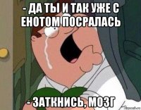 - да ты и так уже с енотом посралась - заткнись, мозг