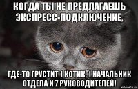 когда ты не предлагаешь экспресс-подключение, где-то грустит 1 котик, 1 начальник отдела и 7 руководителей!