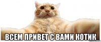  всем привет с вами котик