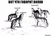 Вот что говорит волки