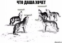 что даша хочет