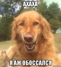 ахаха я аж обоссался