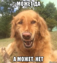 может да а может, нет