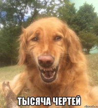  тысяча чертей