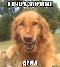 я вчера затролил друга