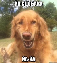 йа сцобака йа-йа