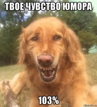 твое чувство юмора 103%