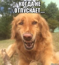 когда не отпускает.... 