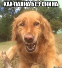 хах лалка без скина 