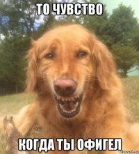 то чувство когда ты офигел