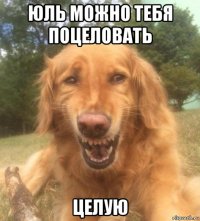 юль можно тебя поцеловать целую