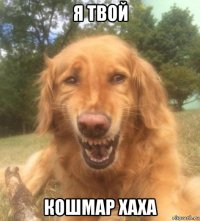 я твой кошмар хаха