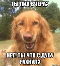 ты пил вчера? нет! ты что с дубу рухнул?