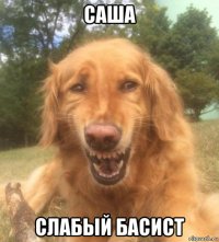 саша слабый басист