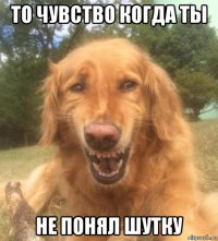 то чувство когда ты не понял шутку