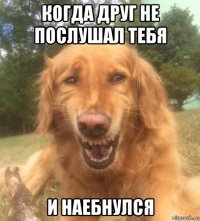 когда друг не послушал тебя и наебнулся